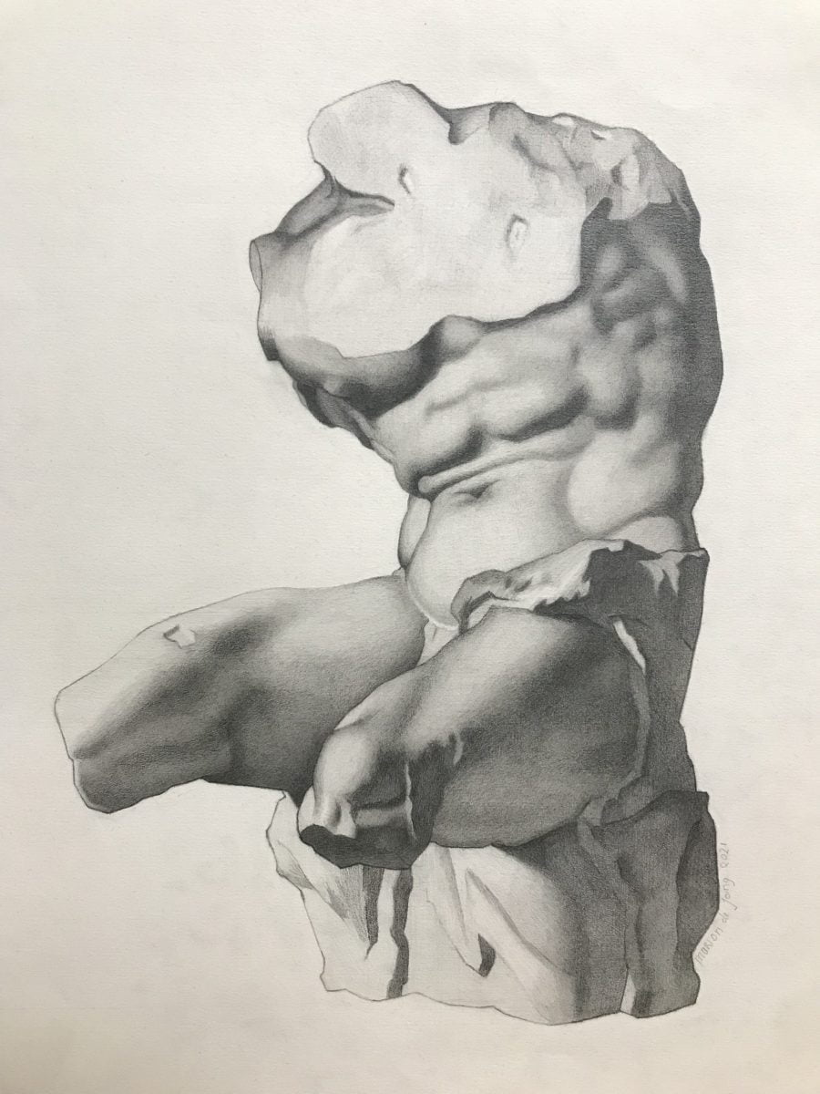 Belvedere Torso drawing by Marion de Jong